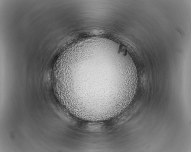 X0000110900373200907021542