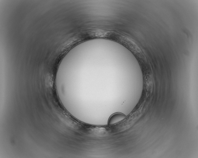 X0000110900374200907021542