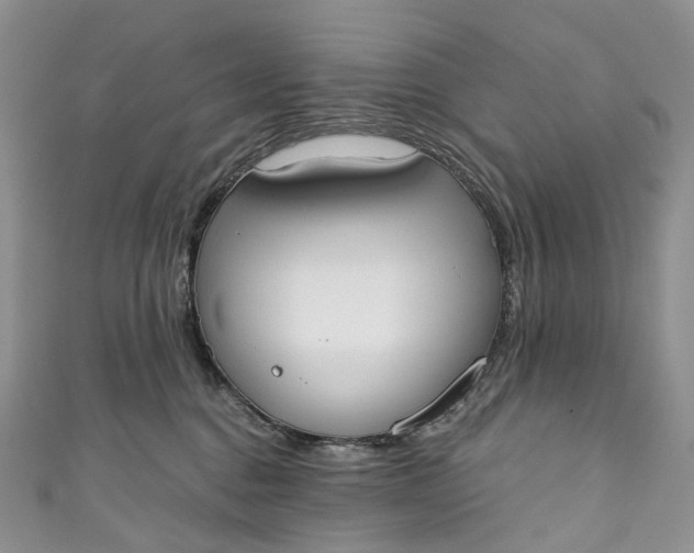 X0000110900376200907021542