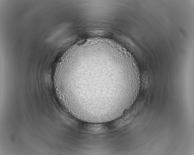 X0000110900377200907021542