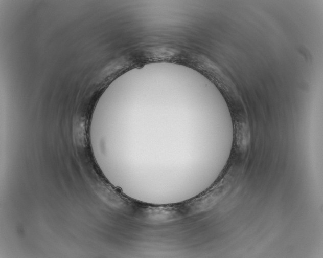 X0000110900378200907021542