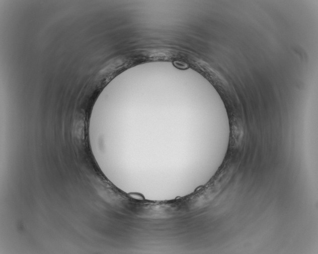 X0000110900379200907021542