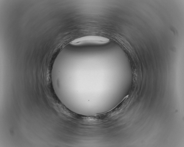 X0000110900380200907021542