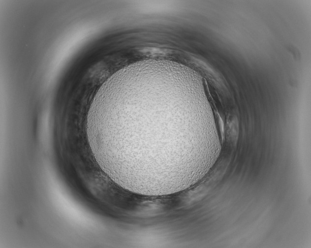 X0000110900381200907021542
