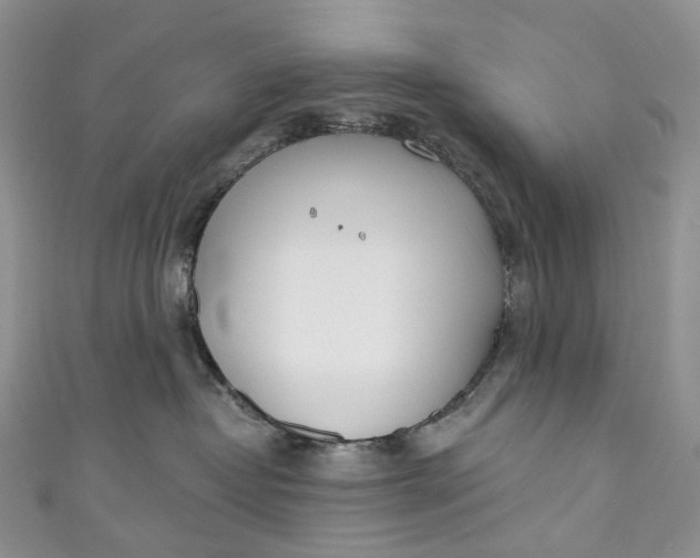 X0000110900382200907021542