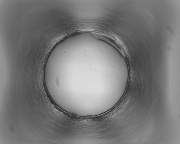 X0000110900385200907021542