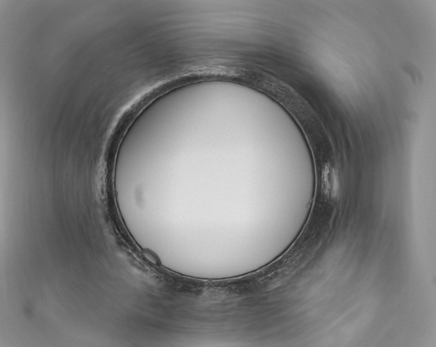 X0000110900388200907021542