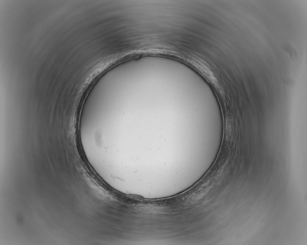 X0000110900389200907021542