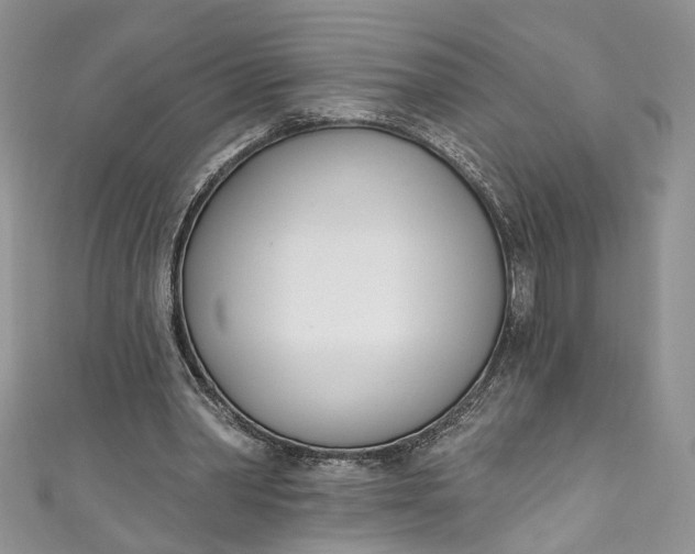 X0000110900390200907021542