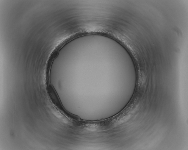 X0000110900391200907021542