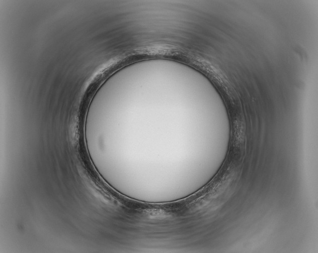 X0000110900392200907021542