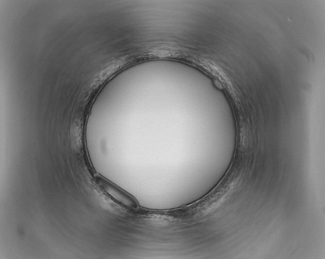 X0000110900393200907021542
