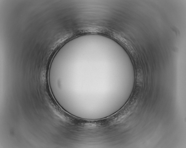 X0000110900394200907021542