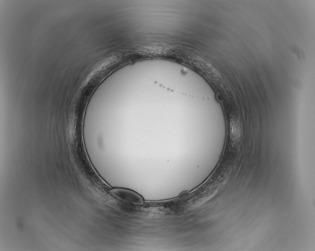X0000110900396200907021542