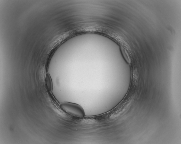 X0000110900397200907021542