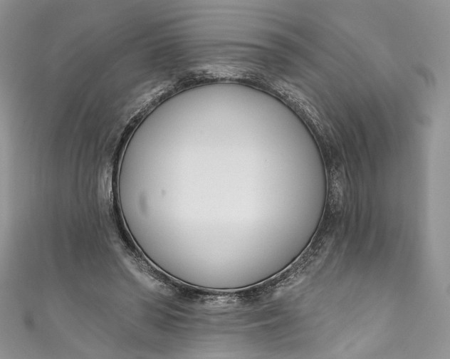X0000110900398200907021542