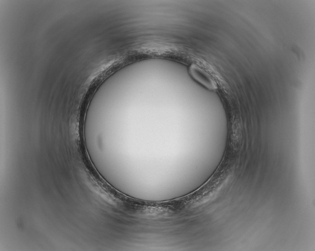 X0000110900399200907021542