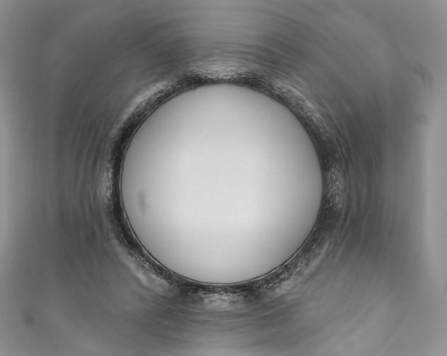 X0000110900400200907021542