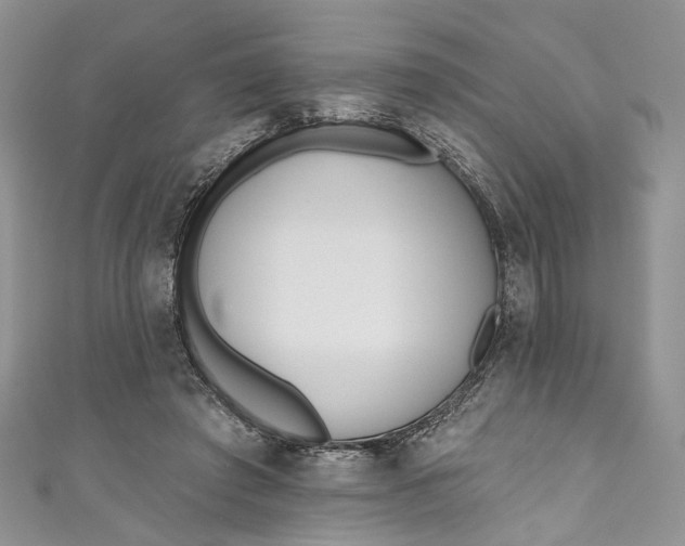 X0000110900401200907021542