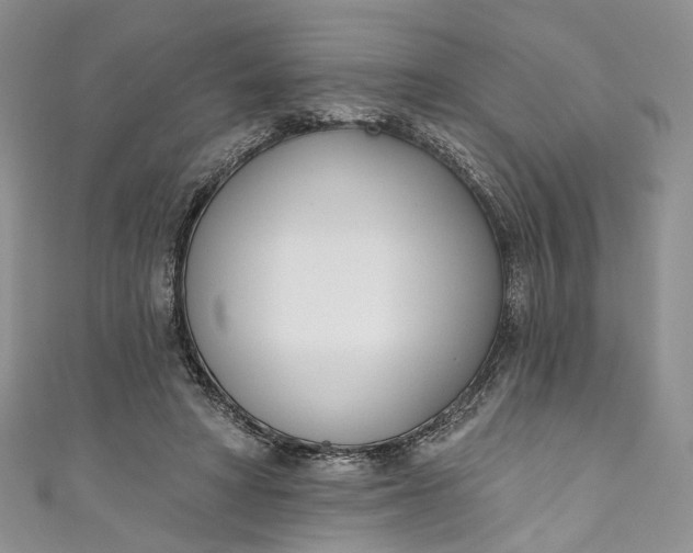 X0000110900402200907021542