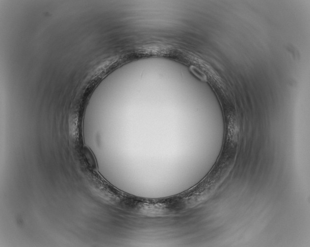 X0000110900403200907021542