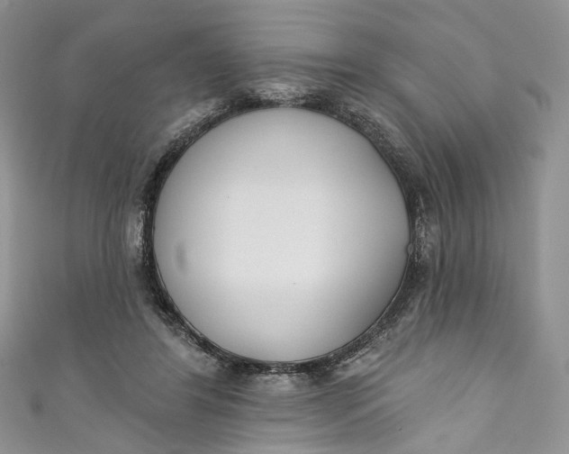 X0000110900404200907021542
