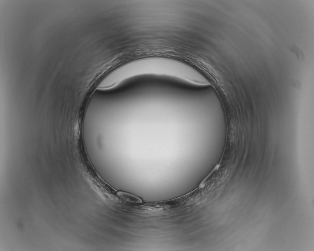 X0000110900405200907021542