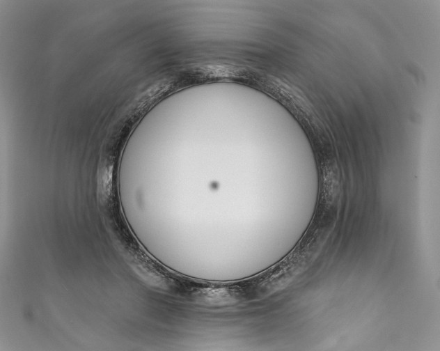 X0000110900406200907021542