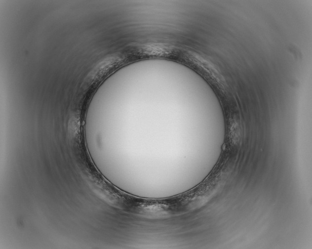X0000110900407200907021542