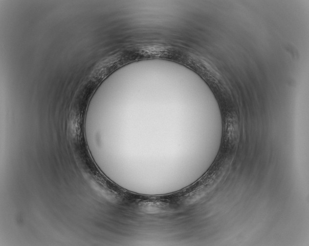 X0000110900408200907021542