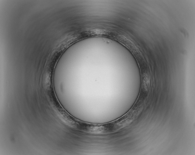 X0000110900410200907021542