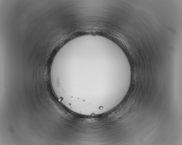X0000110900411200907021542