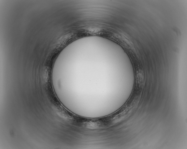X0000110900412200907021542