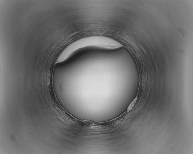X0000110900413200907021541