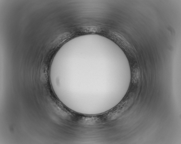 X0000110900414200907021541
