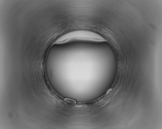 X0000110900415200907021541