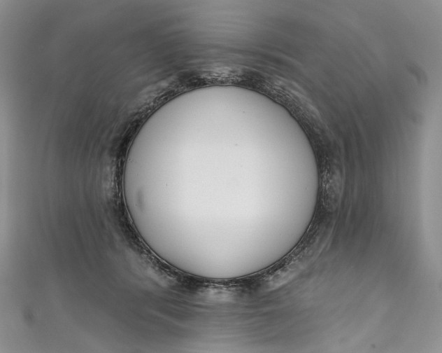 X0000110900416200907021541