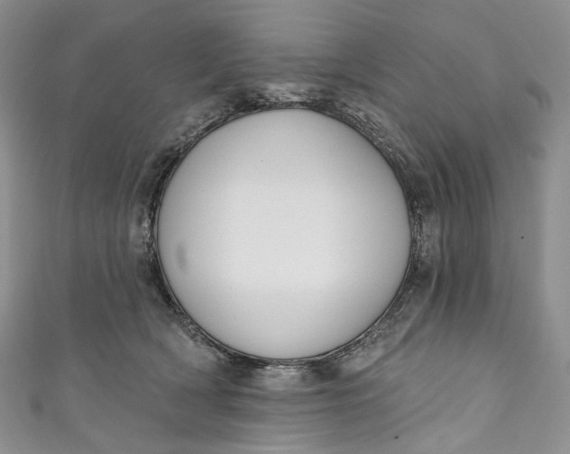 X0000110900418200907021541