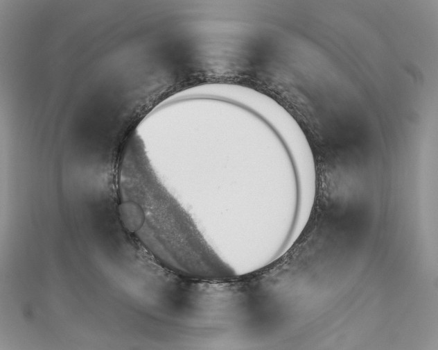 X0000110900419200907021541