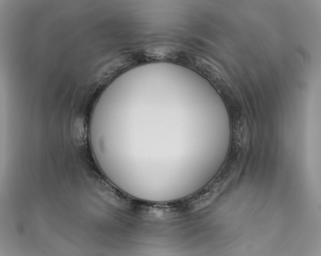 X0000110900420200907021541