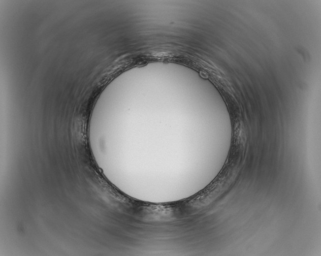 X0000110900421200907021541