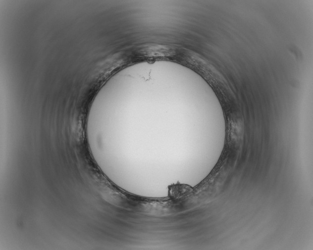 X0000110900422200907021541