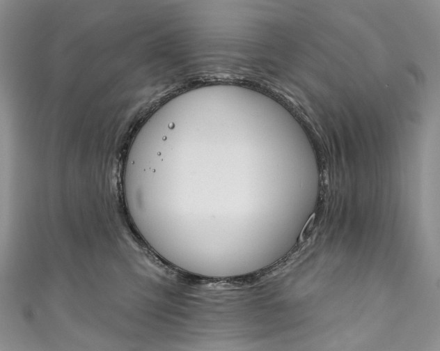 X0000110900423200907021541
