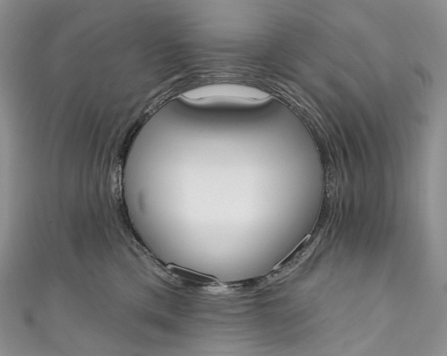 X0000110900425200907021541
