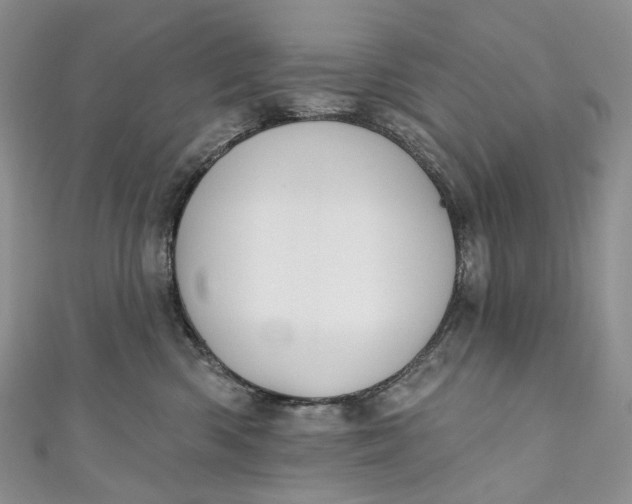 X0000110900426200907021541