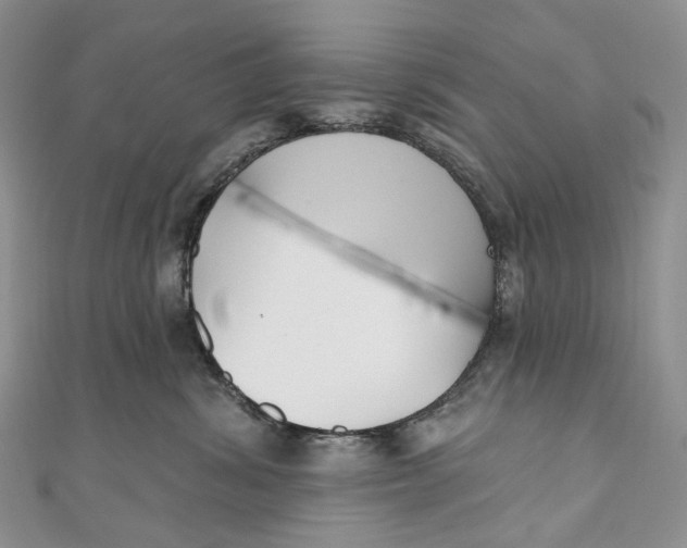 X0000110900428200907021541
