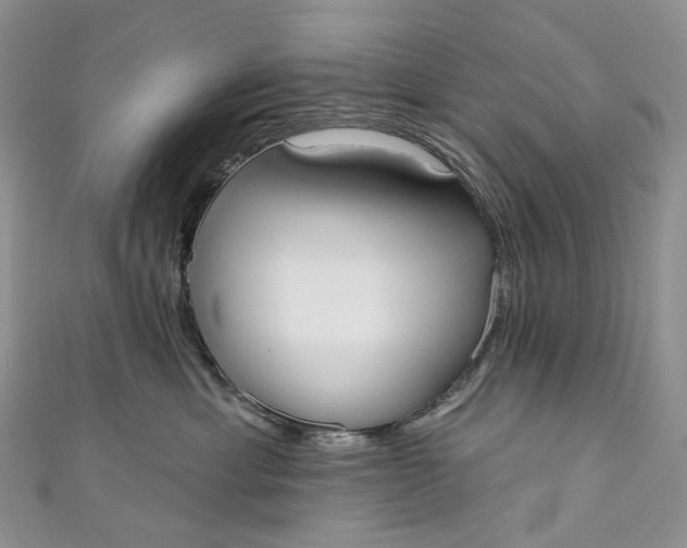X0000110900429200907021541