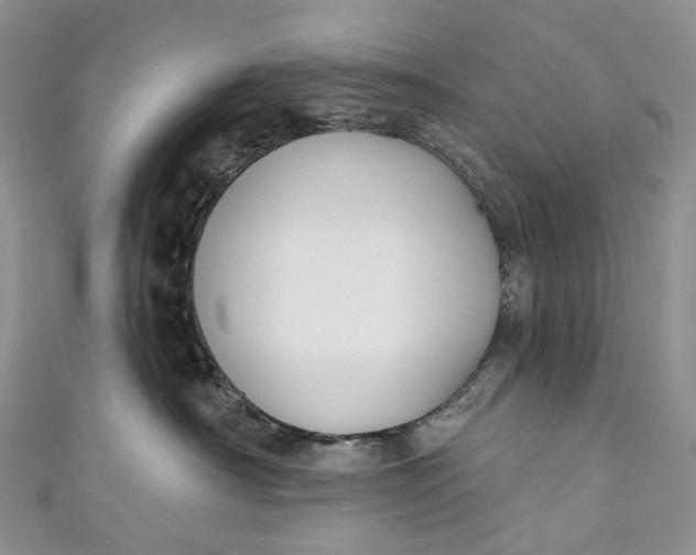 X0000110900430200907021541