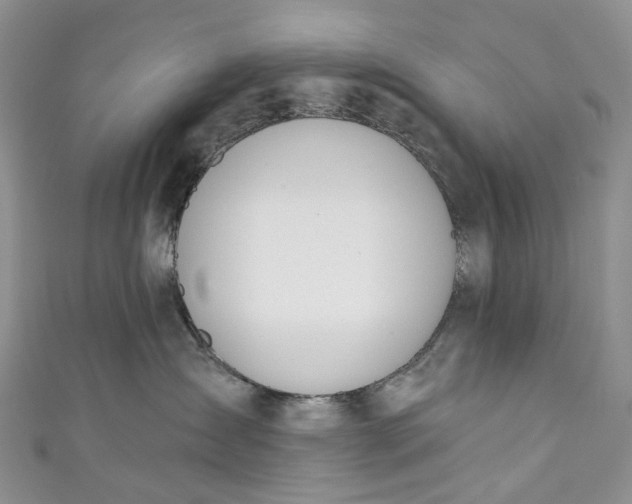 X0000110900431200907021541