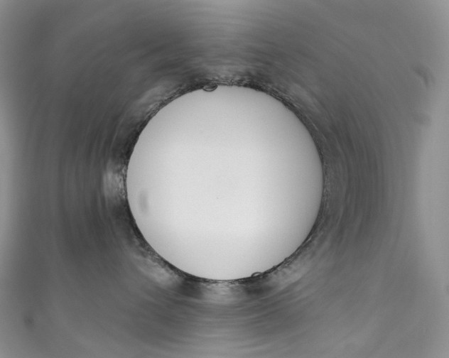 X0000110900432200907021541